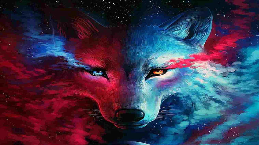 galaxy cool wolf, cool wolves backgrounds HD wallpaper