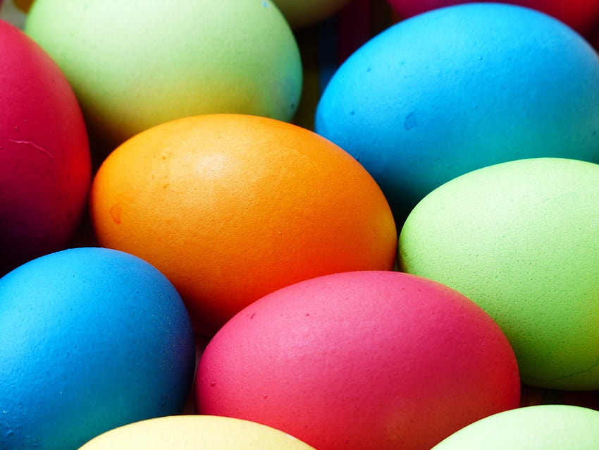 Guide to Easter Brunch and Easter Egg Hunts in Columbia, SC, easter egg ...