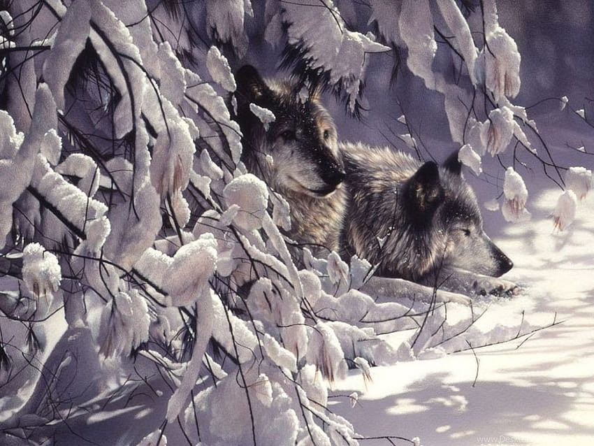 Winter Wildlife, watchguard HD wallpaper