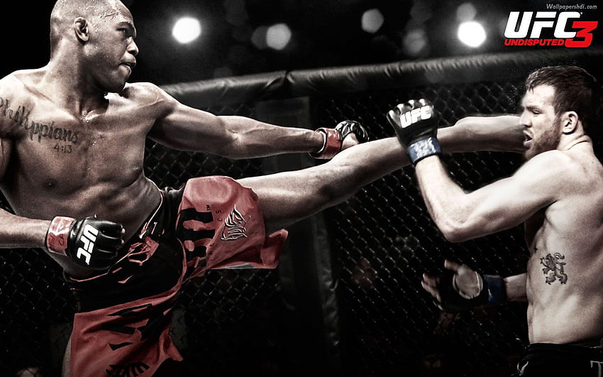 Jon Jones UFC 2013 papel de parede HD