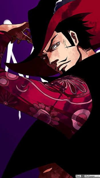 Dracule Mihawk, animesfw, olhos de falcao, olhos de gaviao, one piece, red,  vermelho, HD phone wallpaper