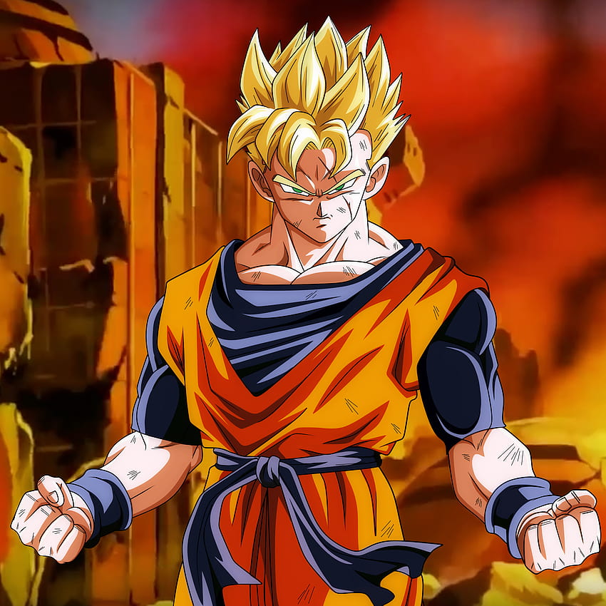 2048x2048 Kane House Dragon Ball 4k Ipad Air HD 4k Wallpapers, Images,  Backgrounds, Photos and Pictures