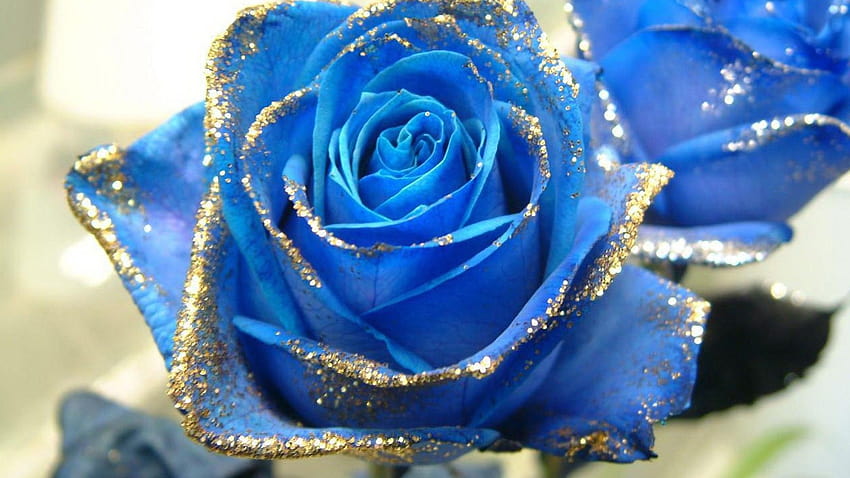 Premium Photo  Frozen magic blue rose in the snow romantic background