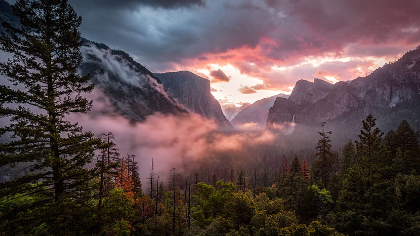 America, Yosemite Valley, morning, Yosemite National Park, fog, forest, California, USA with resolution 3840x2160. High Quality, yosemite valley morning fog HD wallpaper