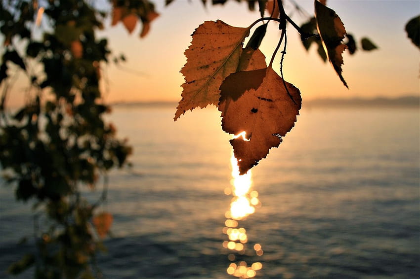 of Sunrise,para,autumn,foliage,lake, autumn sunrise over lake HD wallpaper