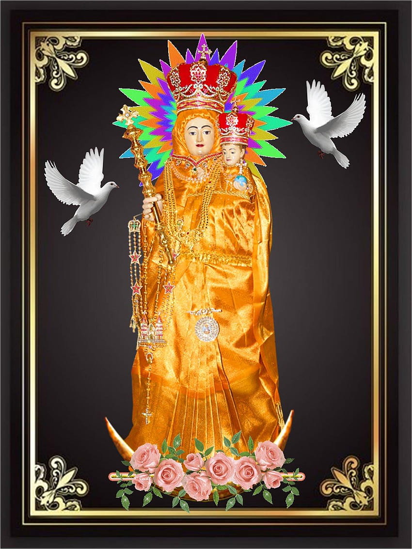 Vailankanni Maa: Our Lady of Good Health, Vailankanni , Pray HD ...