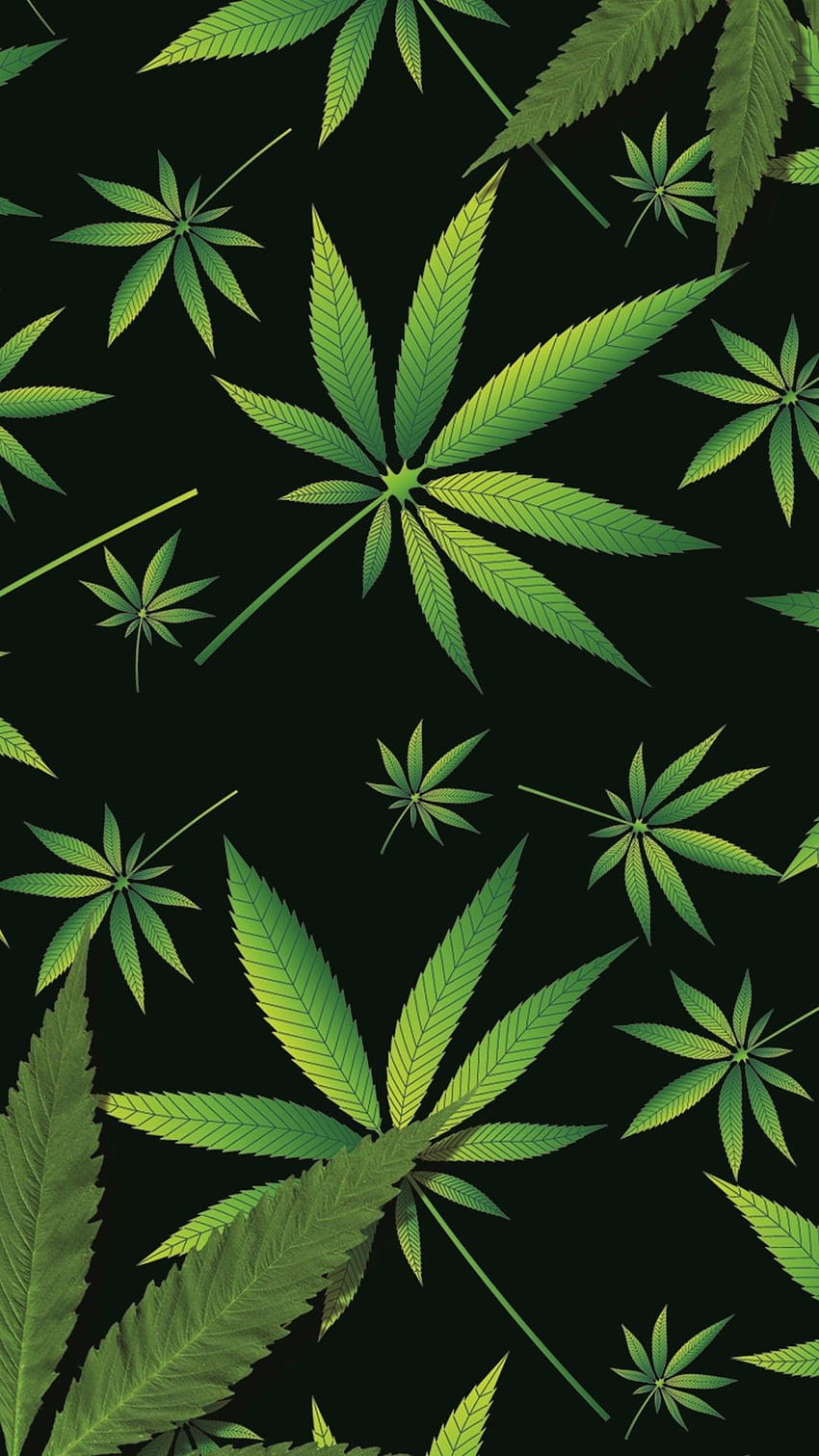 marijuana HD phone wallpaper