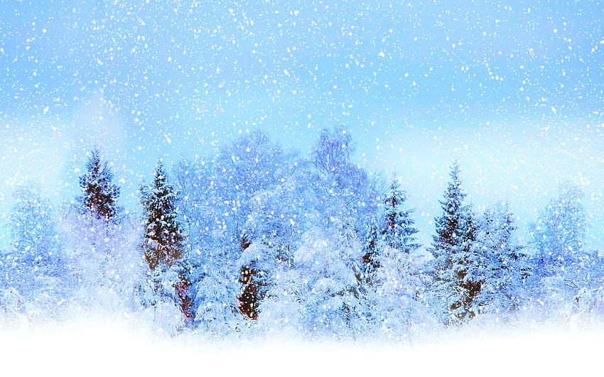 Winter Wonderland Group, paesaggi invernali Sfondo HD