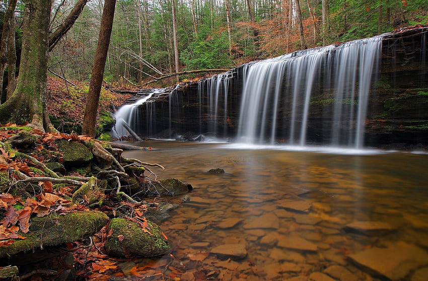 Waterfall Forest Hd Wallpaper Pxfuel