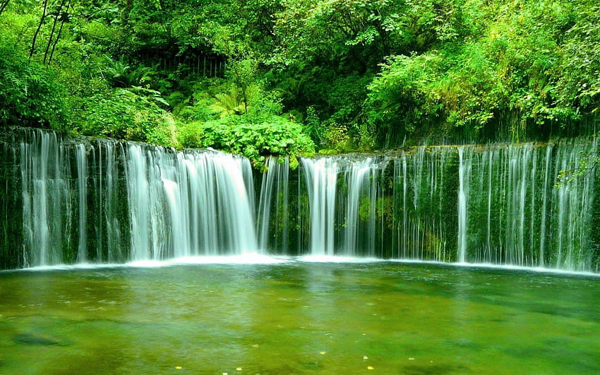 Nature with Jungle and Waterfall, small waterfall HD wallpaper | Pxfuel