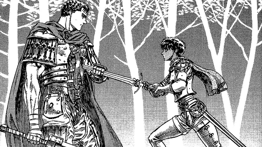 Lieblingspanel bisher? : Berserker, Manga-Panels HD-Hintergrundbild