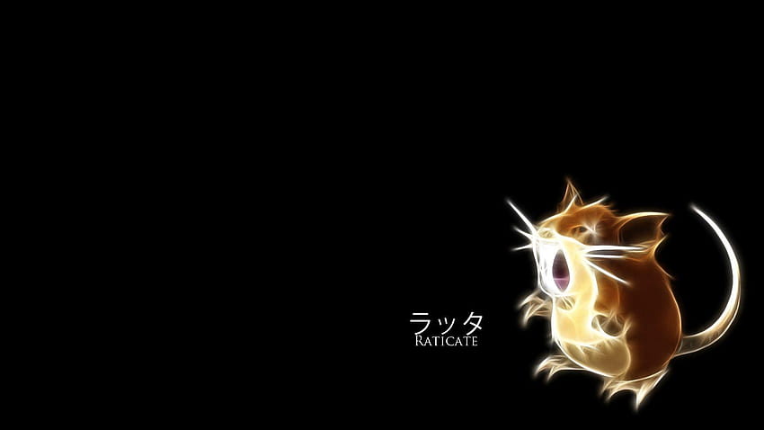 Raticate HD wallpaper | Pxfuel