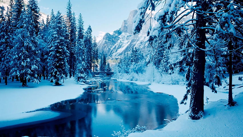 Eiswald, eisiger Winter HD-Hintergrundbild