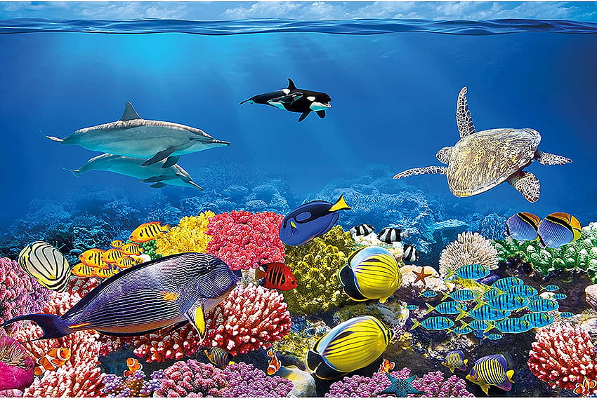 Cameretta dei bambini Asilo nido – Acquario – Decorazione Mondo sottomarino Abitante del mare Oceano Pesce Tartaruga Barriera corallina Decorazione Carta da parati, il mondo sottomarino Sfondo HD
