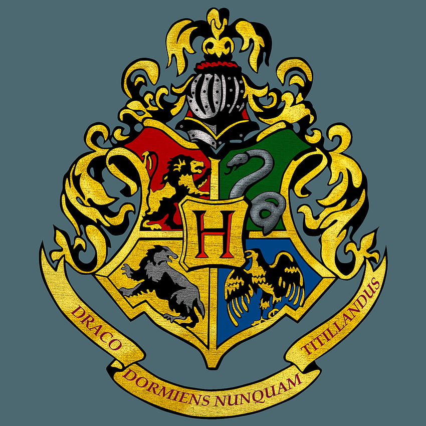 Hogwarts Symbol on Dog, cool hogwarts logo HD phone wallpaper