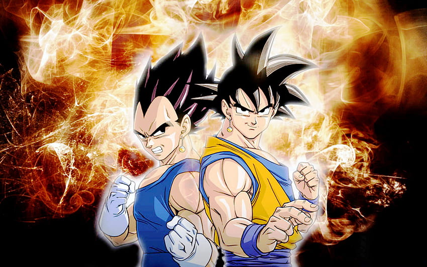 Of Vegeta For, goku and vegeta HD wallpaper | Pxfuel