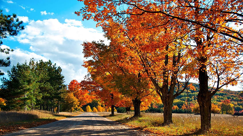 Autumn let you feel the magic of Fall, road to autumn HD wallpaper