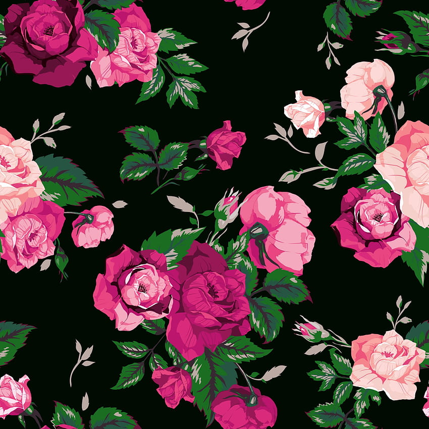 pattern ,flowering plant,flower,pink,garden roses,rose, rose pattern HD phone wallpaper