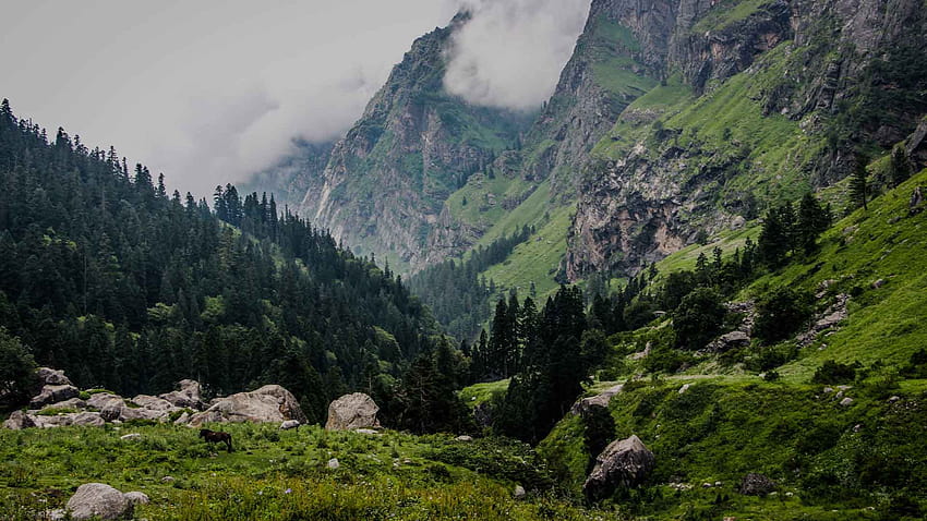 Himachal Pradesh Manali und Kasol HD-Hintergrundbild