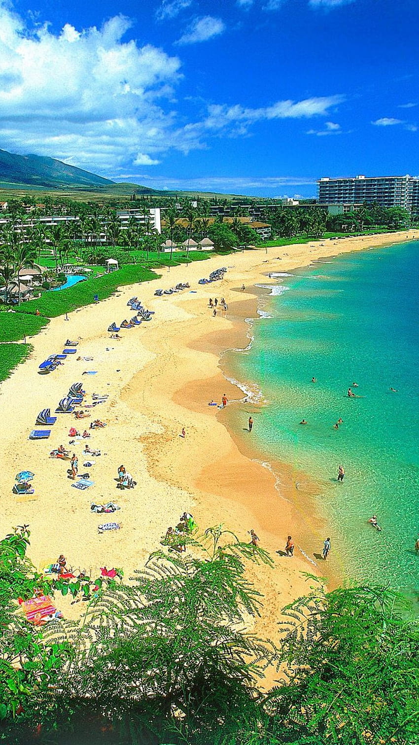 6 Hawaii, hawaii aesthetic HD phone wallpaper | Pxfuel