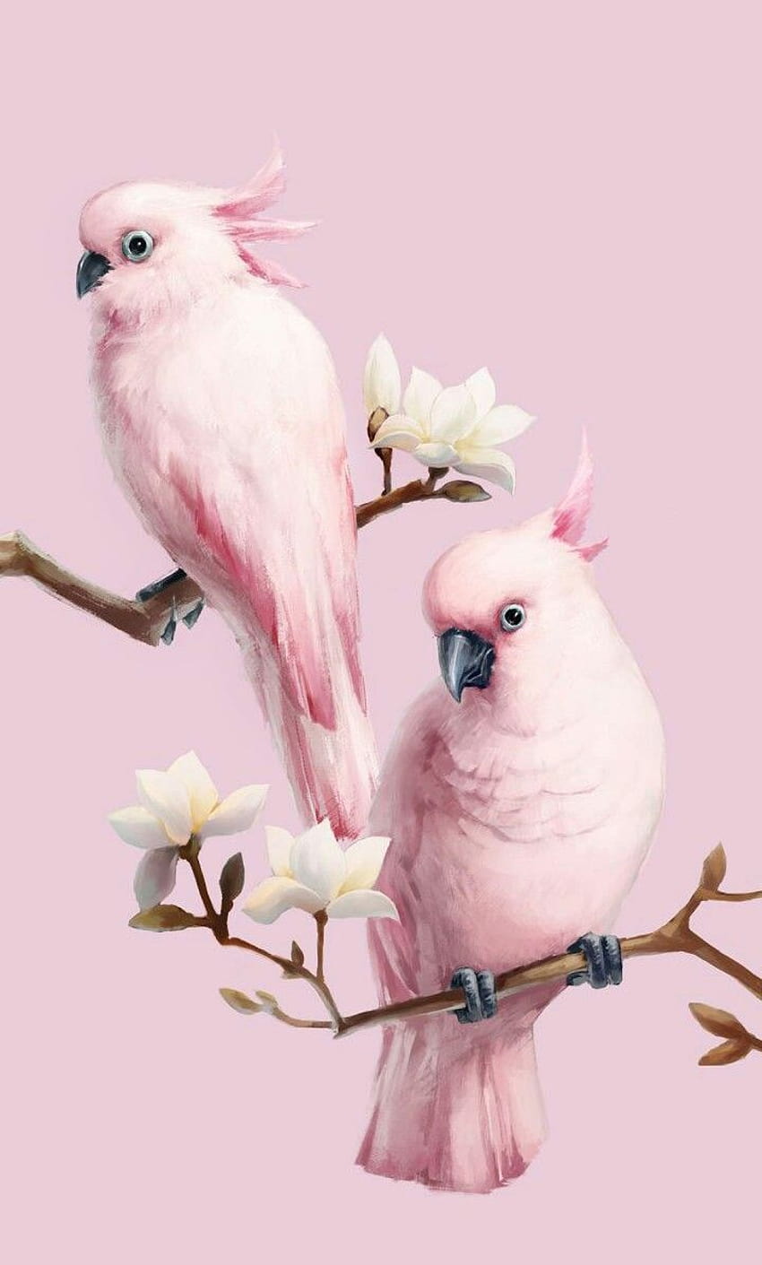 ピンクの鳥、審美的な鳥 HD電話の壁紙