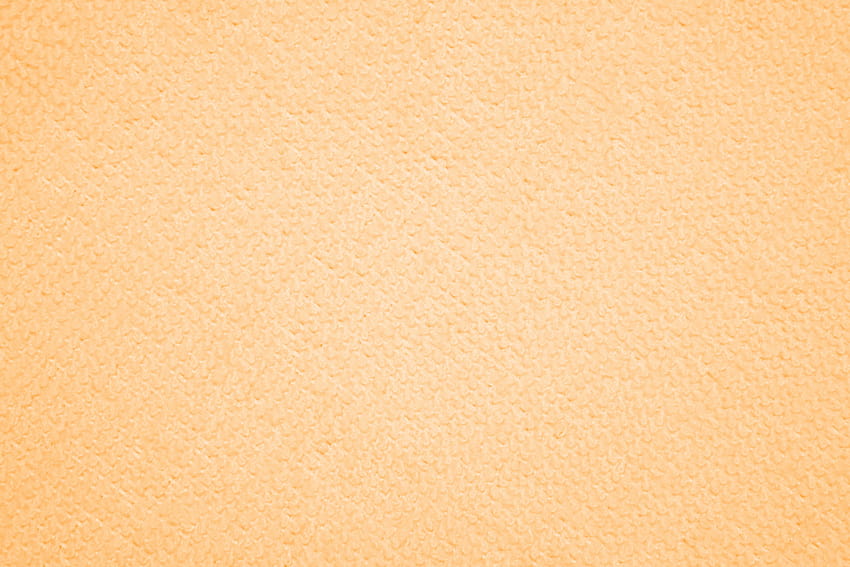 Orange pour les murs ... afari, teint de peau Fond d'écran HD