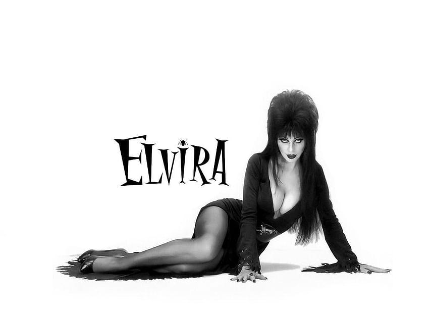 Elvira Elvira、Mistress of the Dark と 高画質の壁紙