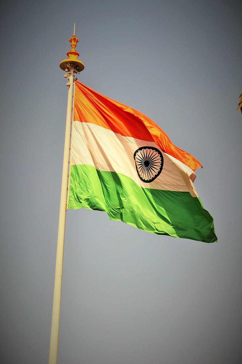 Stock of Indian flag, indian flag android HD phone wallpaper | Pxfuel