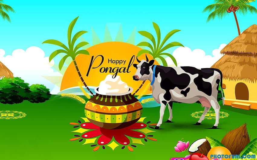 Happy 2019 Pongal Festival and for WhatsApp and Facebook HD wallpaper