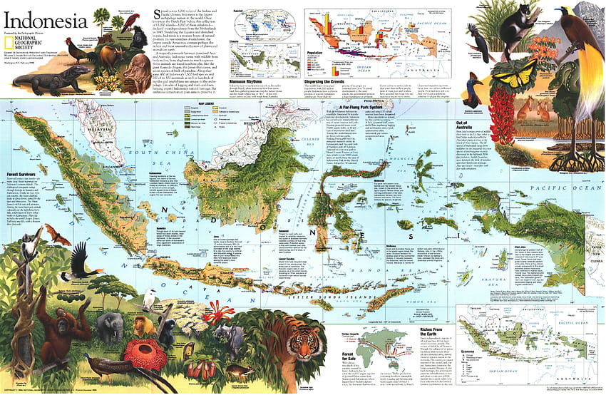 Mappa dell'Indonesia, peta indonesia Sfondo HD