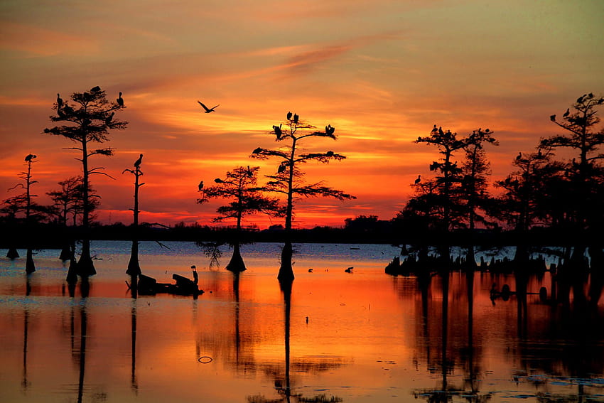 Louisiana Bayou Sunset Wallpaper HD