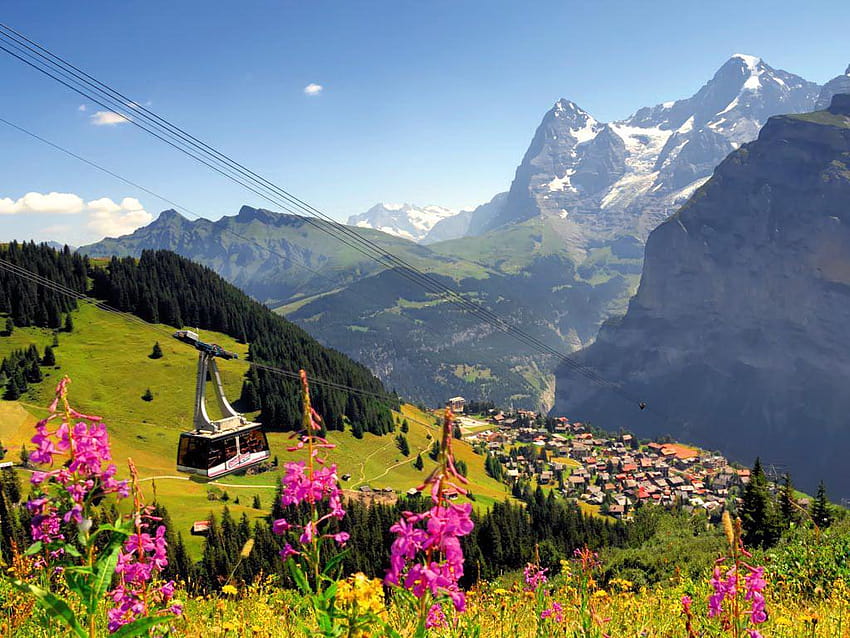 HD wallpaper switzerland alpine swiss alps wanderer summer juicy  meadow  Wallpaper Flare