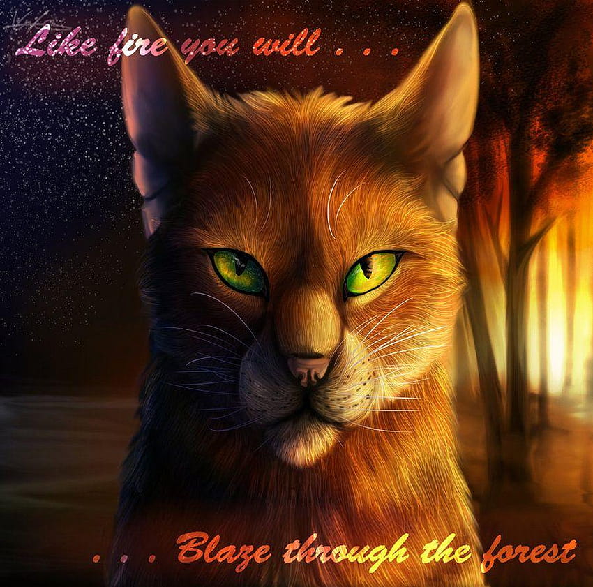 Forever Warriors Cats Firestar! and backgrounds, warrior cats HD wallpaper