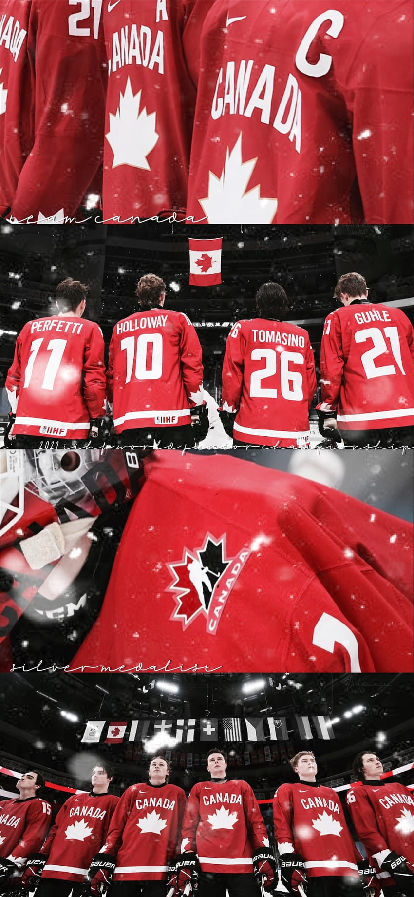 Ottawa Senators canada ice hockey nhl hockey ottawa sens HD phone  wallpaper  Peakpx