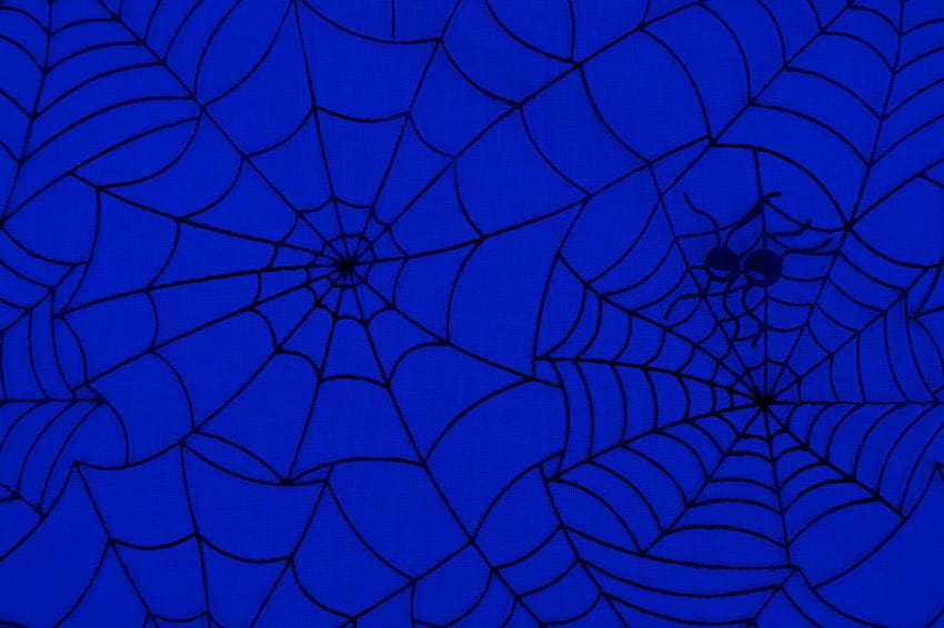 Örümcek Ağı Desen Stoku, web arka plan deseni HD duvar kağıdı