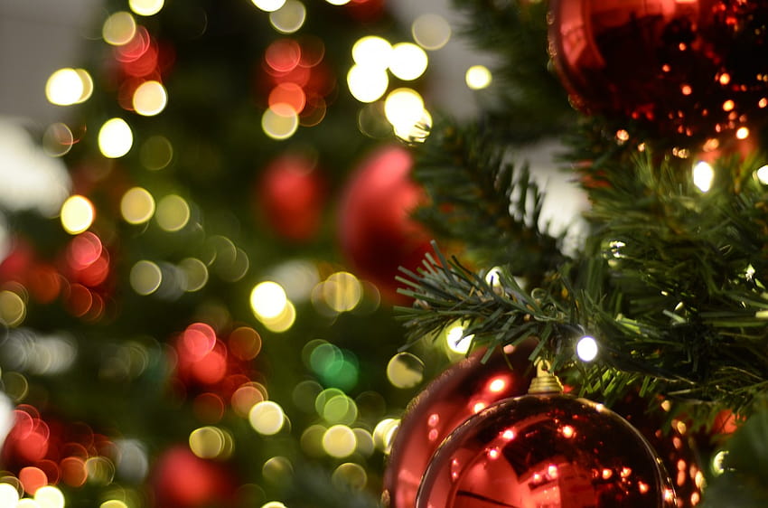 : gałąź, bokeh, plama, abstrakcyjny, zielony, czerwony, wakacje, jodła, drzewko świąteczne, świąteczna dekoracja, tło, złoto, koła, zdarzenie, weekend, oświetlenie świąteczne, drzewiasta roślina, hintergrung 4928x3264, Boże Narodzenie czerwony i złoty Tapeta HD