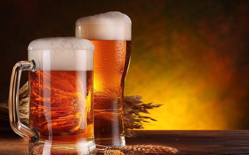 birra, bicchieri di birra, luppolo con, poker e birra Sfondo HD
