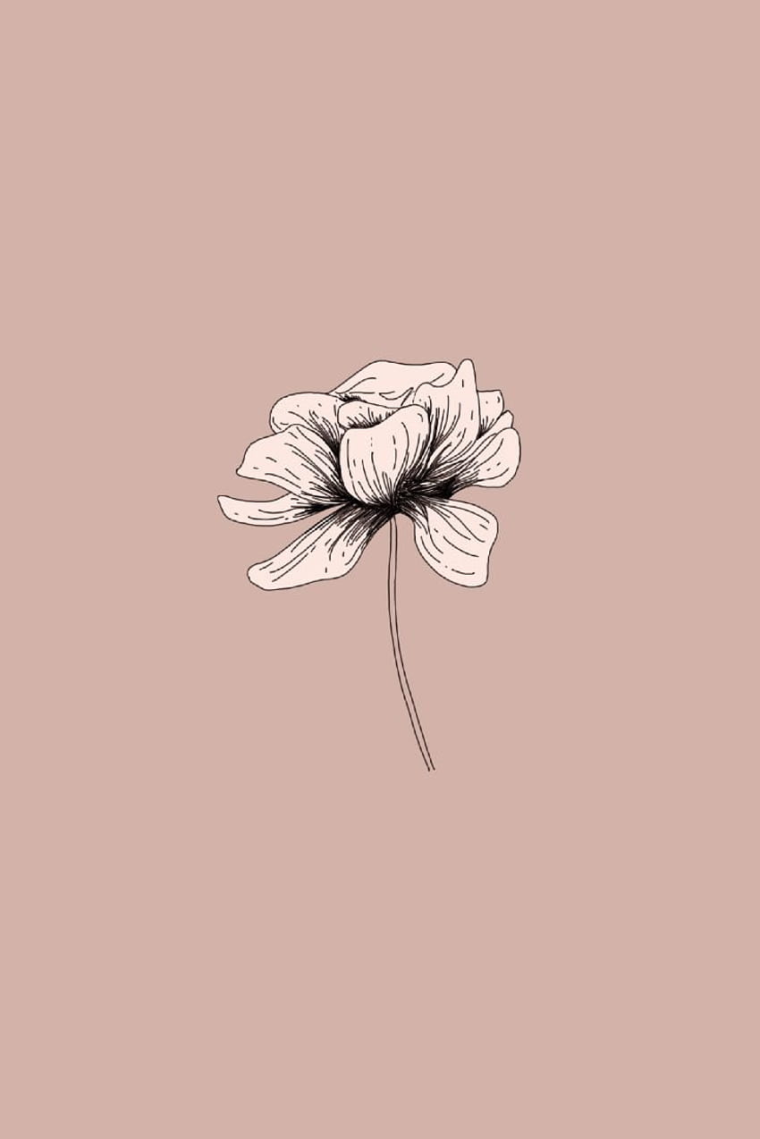 Pin on art inspiration, minimalist flowers drawing HD phone wallpaper