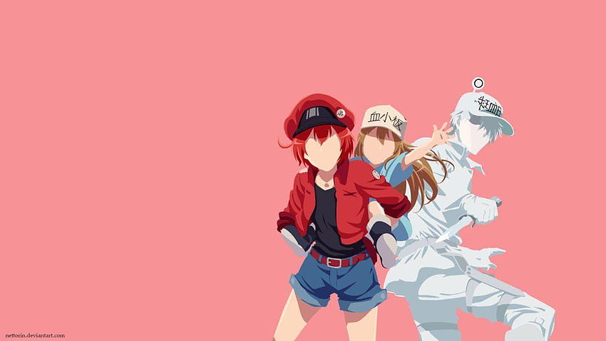 hataraku saibou hataraku saibou plaqueta  애니메이션 소녀, 애니메이션 아트, 애니메이션