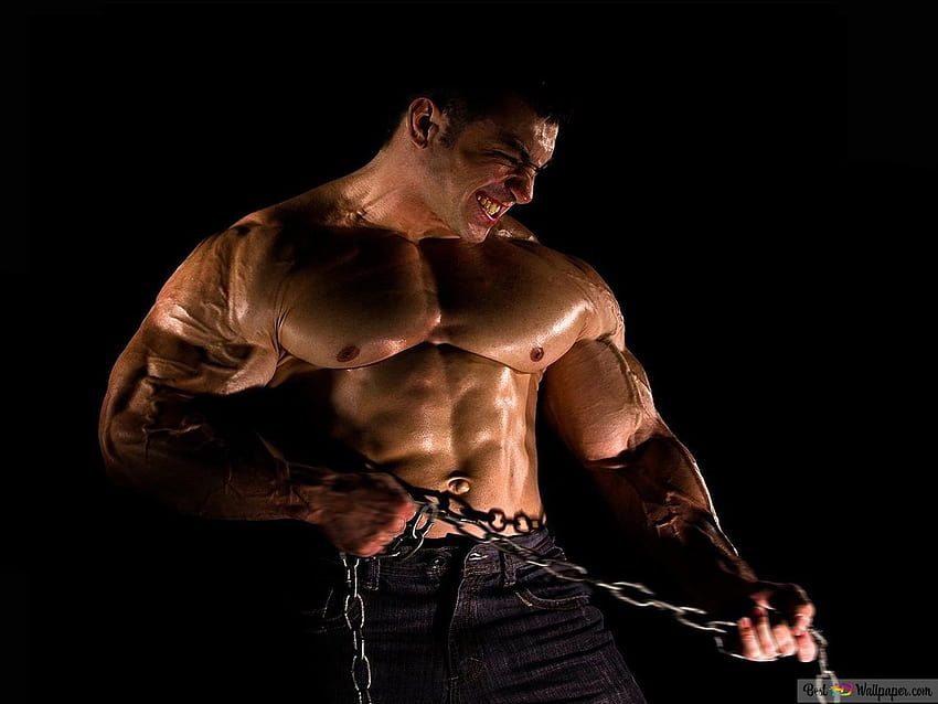 체인 체육관 보디 빌더를 당기는 근육 질의 남자, 버프 남자 HD 월페이퍼