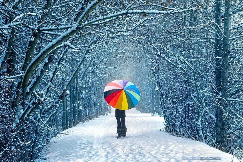 How Winter Can Help You Make Great ? HD wallpaper