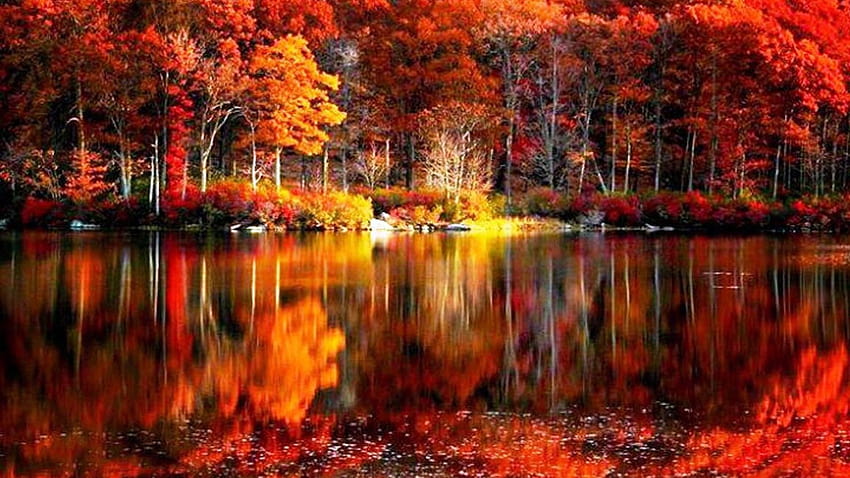 Fall foliage river autumn red lake reflections shore beautiful [1920x1200] for your , Mobile & Tablet, river beauty reflections HD wallpaper