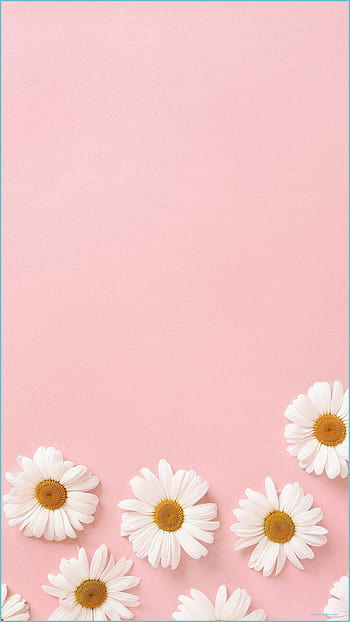 Pastel pink aesthetic: Hãy tận hưởng không gian tràn ngập màu sắc hồng nhạt tuyệt đẹp với hình ảnh này. Tông sáng nhẹ nhàng, tạo cảm giác thư giãn, yên bình ngay từ những lần nhìn đầu tiên. Bạn sẽ không muốn bỏ lỡ bất kỳ thông điệp nào được thông qua qua hình ảnh này.