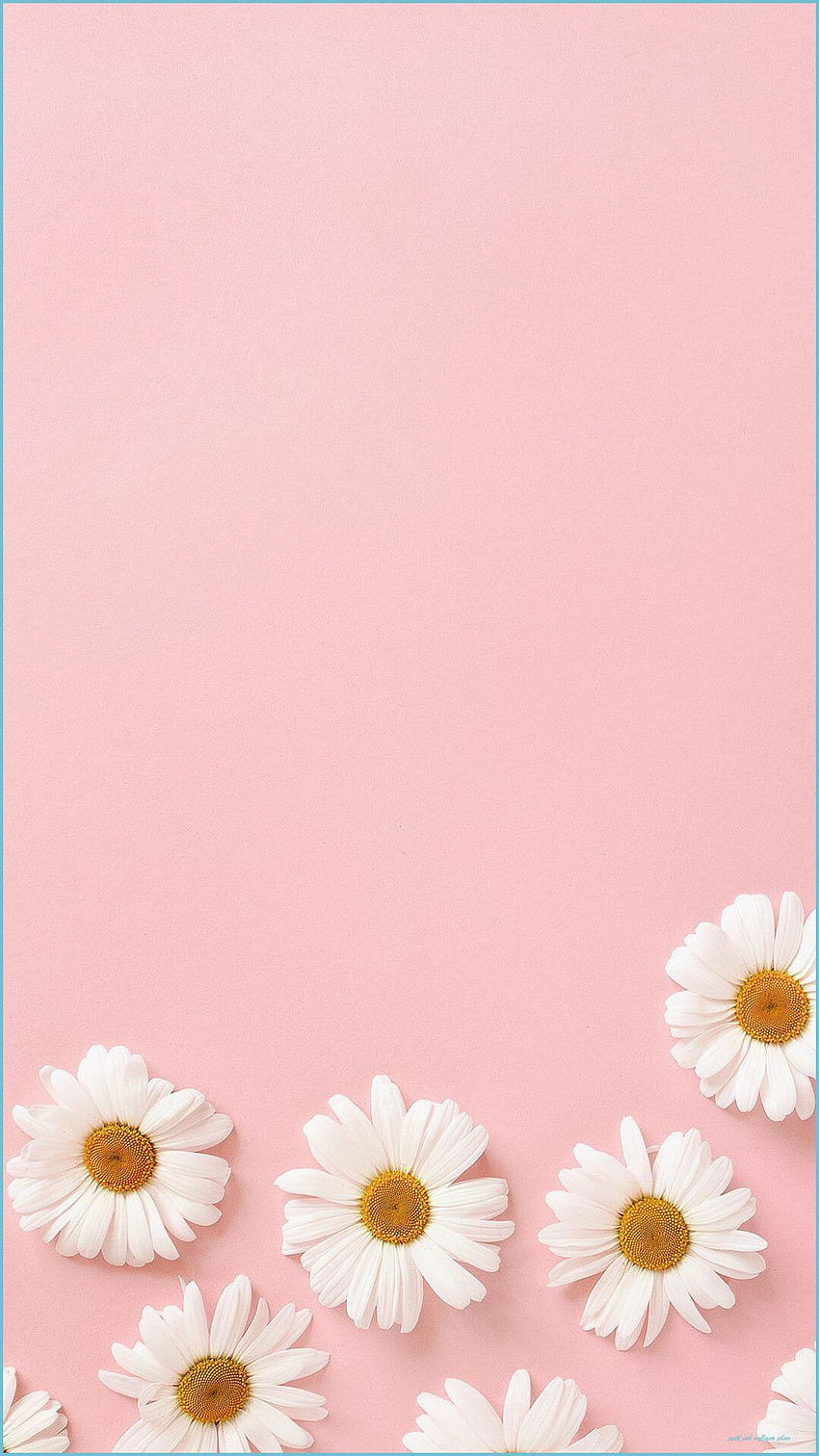 Light Pink iPhone Wallpapers  Top Free Light Pink iPhone Backgrounds   WallpaperAccess