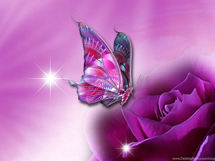 Butterfly For Pretty Backgrounds, full screen butterfly HD wallpaper |  Pxfuel