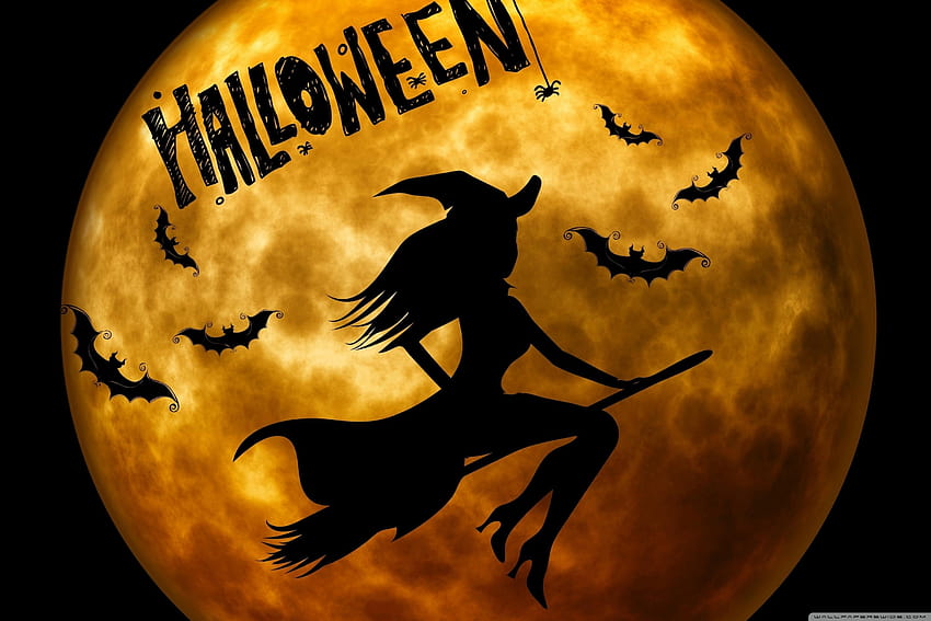 Halloween-Hexe auf Besen Orange ❤, Hexe Halloween HD-Hintergrundbild