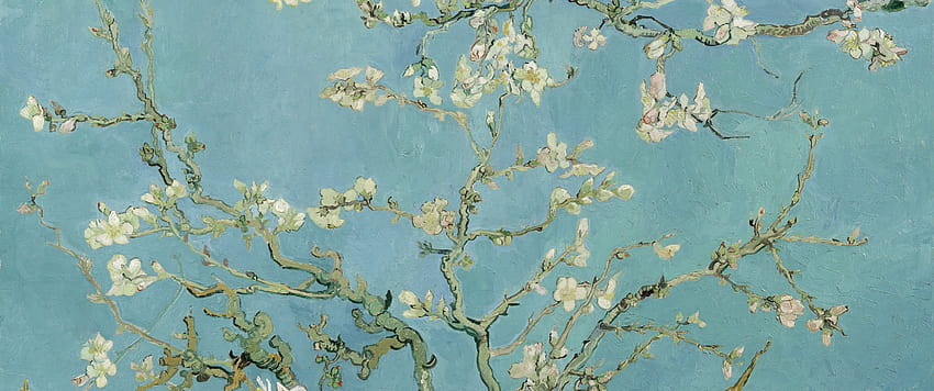 Van Gogh, bunga almond Wallpaper HD