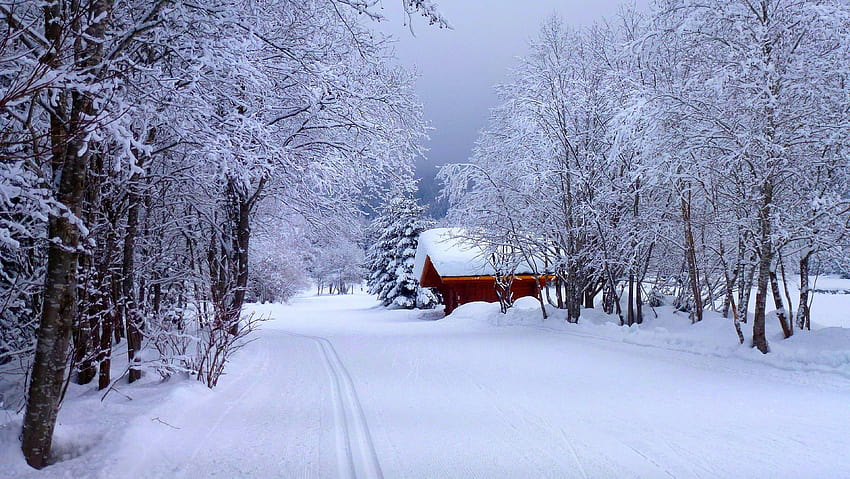 zima, droga, las, niebo, śnieg, zaśnieżona droga zimowy kraj Tapeta HD