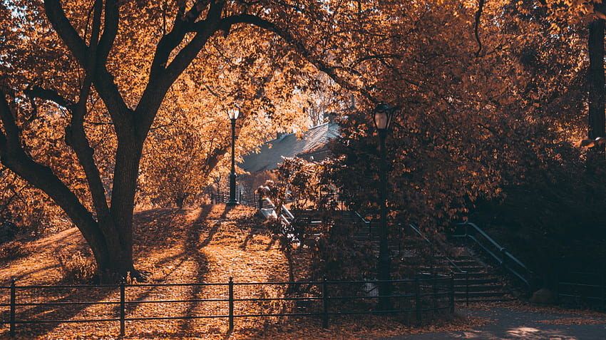 葉, 秋, 10 月, 階段, セントラル パーク, ニューヨーク市, 街路灯, 木とモバイルの背景, 街の紅葉 高画質の壁紙