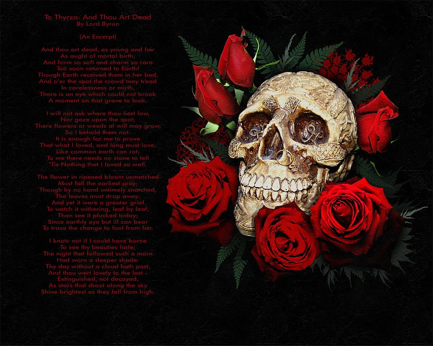 Labels Dark Skulls [1280x1024] for your , Mobile & Tablet, red skull tumblr HD wallpaper